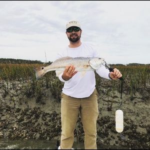 Meet your Posher, Jake